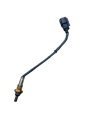 Harley Davidson Pan America 1250 Special 2021 - 2025 Auspuff Lambda O2 Sensor - Bild 1 von 4