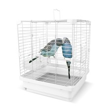 Small Bird Cage for Parakeets, Budgies Canaries and More Small Birds - Ligh...