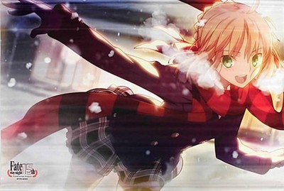 Type-Moon Exhibition Fate/Stay Night -15 No Kiseki- Saber Illustration B2 Tapest