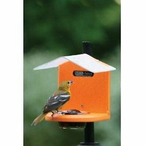 Birds Choice Pole Mounted Jelly Feeder For Sale Online Ebay