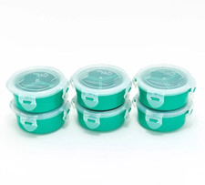 LocknLock Set of 6 Pill Case Organizers K310348 PEACOCK GREEN