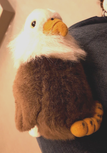 Wild Republic Audubon Birds Bald Eagle Plush Series 1 Birds Of Prey - Picture 6 of 6