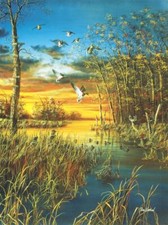 Ceramic Backsplash Tile Mural Waterfowl Bird Kitchen/Bathroom - Hiding Out