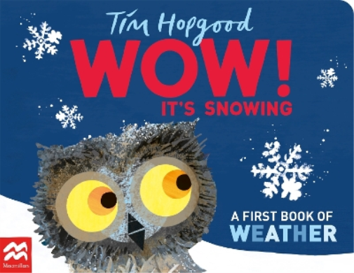 Tim Hopgood WOW! It's Snowing (Libro di cartone)