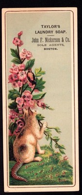 1880s Trade Card / Bookmark Boston MA Taylor's Laundry Soap Predator / Prey Cat