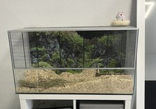 Nagarium Glas 80cm x40cmx40cm