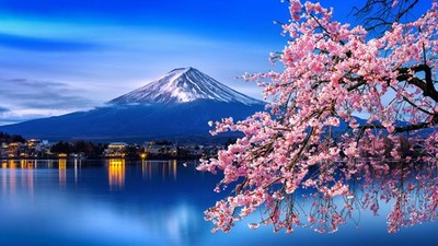Wandbild: Fuji-Berg und Kirschblüten im Frühjahr, Japan. (128429042)