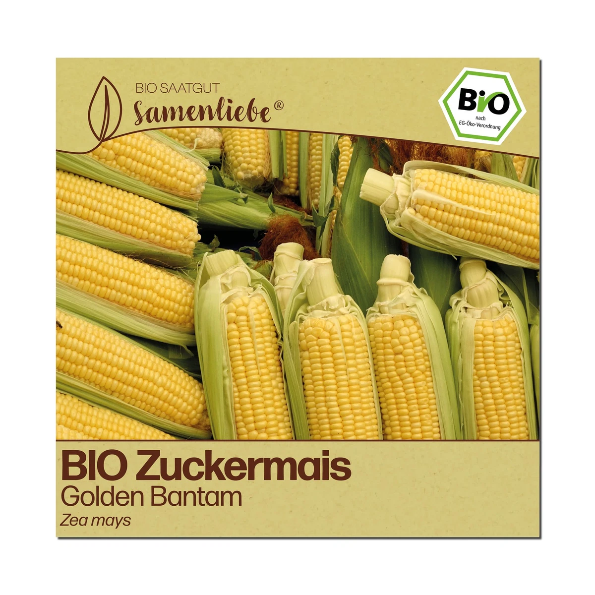Mais Garten-Gemsesamen mit mittlerem Wasserbedarf online kaufen | eBay.de