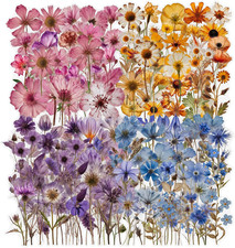 200 Pcs Dried Flower Stickers for Scrapbook Supplies, Pressed Flower Stickers Na