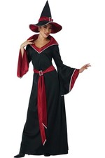 Ruby Medieval Women Glamour Witch Costume Red Halloween Outfit 5025-075