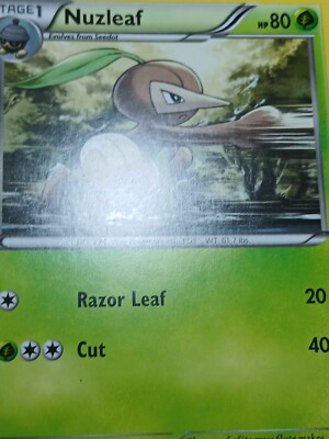 LP Nuzleaf 6/106 - Flashfire - Uncommon - Pokemon Card TCG | eBay