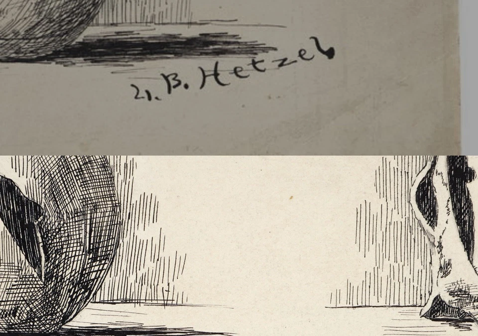 1890 年代 Lila Hetzel 笔和墨水头骨绘画 — 第 3/3 张图片