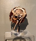 South African Witch Doctor’s Tribal Shell W/OSTRICH-ZULU XHOSA BOTSWANA Coll-70s — photo 4