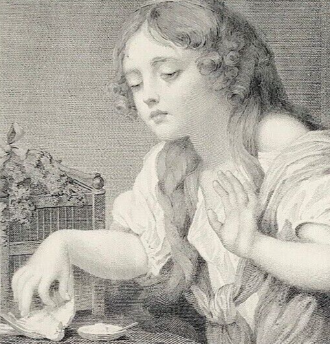 The Dead Bird after Greuze steel engraved print child discovers bird 1889 - Picture 2 of 3