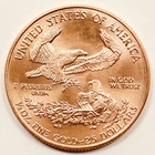 1/2 ounce gold eagle bullion coin 1999 uncirculated