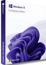 Microsoft Windows 11  Enterprise LTSC 2024 Single Device on USB