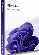 Microsoft Windows 11  Enterprise LTSC 2024 Single Device DG7GMGF0PP49 on USB