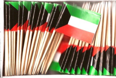 One Box of 100 Kuwait Toothpick Flags, 100 Small Mini International Flags