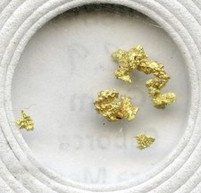 Gold Nuggets from Caborca Sonora Mexico 0.29 Grams - R375