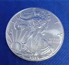 2020 American Silver Eagle Uncirculated Fresh Out Of A Roll (B15)