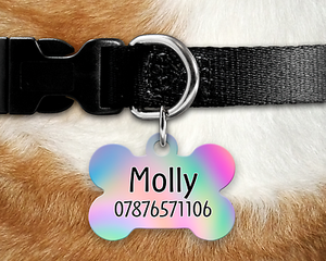rainbow dog tag