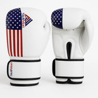 Stellman Boxing Gloves Flag Leather MMA Training Pro Muay Thai Kick Boxing Mitts