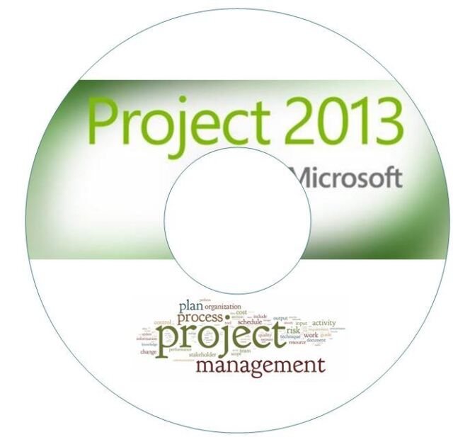 MS Project Video Training Tutorial 1 DVD & Project Management