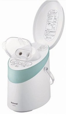 National Ion Steamer Over Nanocare Green EH2473-G Panasonic Japan