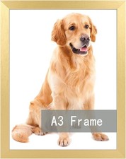 A3 Picture Frame Gold for Wall Hanging, Wall Mounting Horizontally or Vertica...