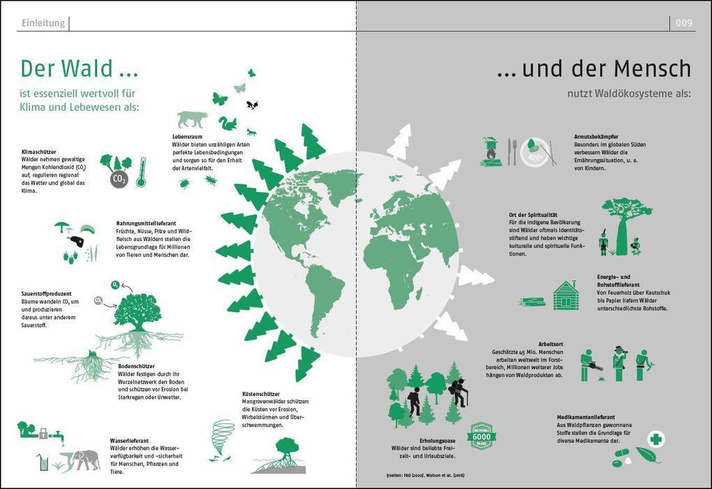 Thumbnail - Das Waldbuch | Esther Gonstalla | 2021 | Deutsch