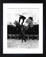 Red Rum with Tommy Stack Framed Photo CP1324