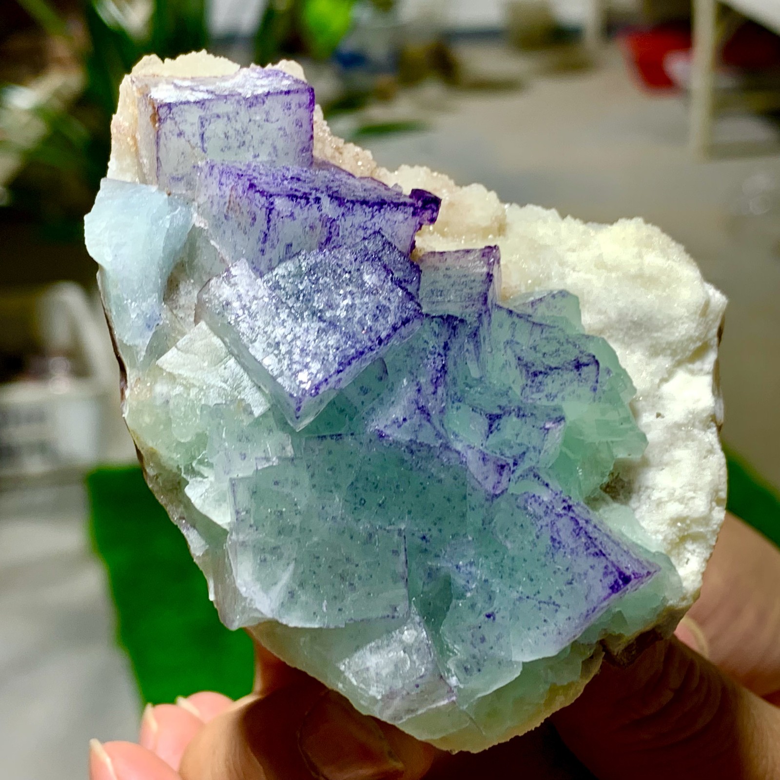 225G Transparent Purple-Green Cubic Fluorite Crystal Specimen from China