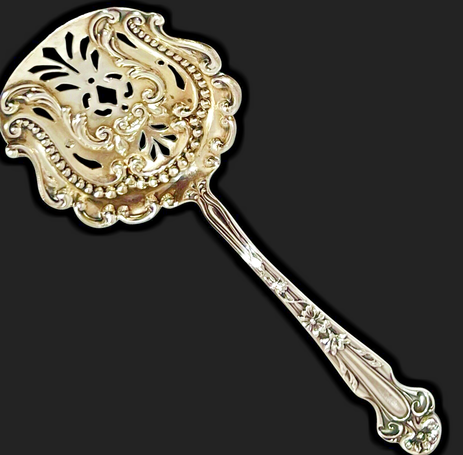 DAISY Almond Nut Scoop Spoon Sterling Silver R. BLACKINTON & Co