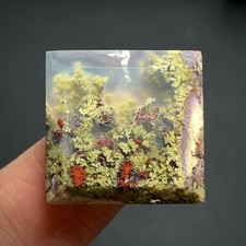 Scenic Moss Agate Cabochon 19x19x5mm High Quality 22 ct