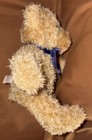 Cuddly Soft Vintage GUND Teddy Plush 9” Brown Bear With Blue Bow #4872 — photo 5