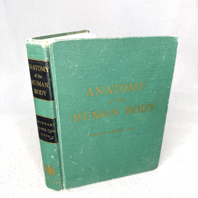 #ad The Anatomy of The Human Body Color Illustrated by Lockhart Hamilton Fyfe HC $24.97