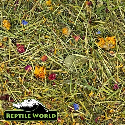 Reptile World Tortoise Edible Bedding 100g - Flower & Plant Bedding Food
