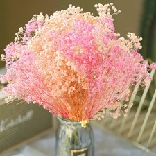 3000 Dried Babys Breath Flowers Pink  White-17'' Baby's Breath Bulk Bouquet...