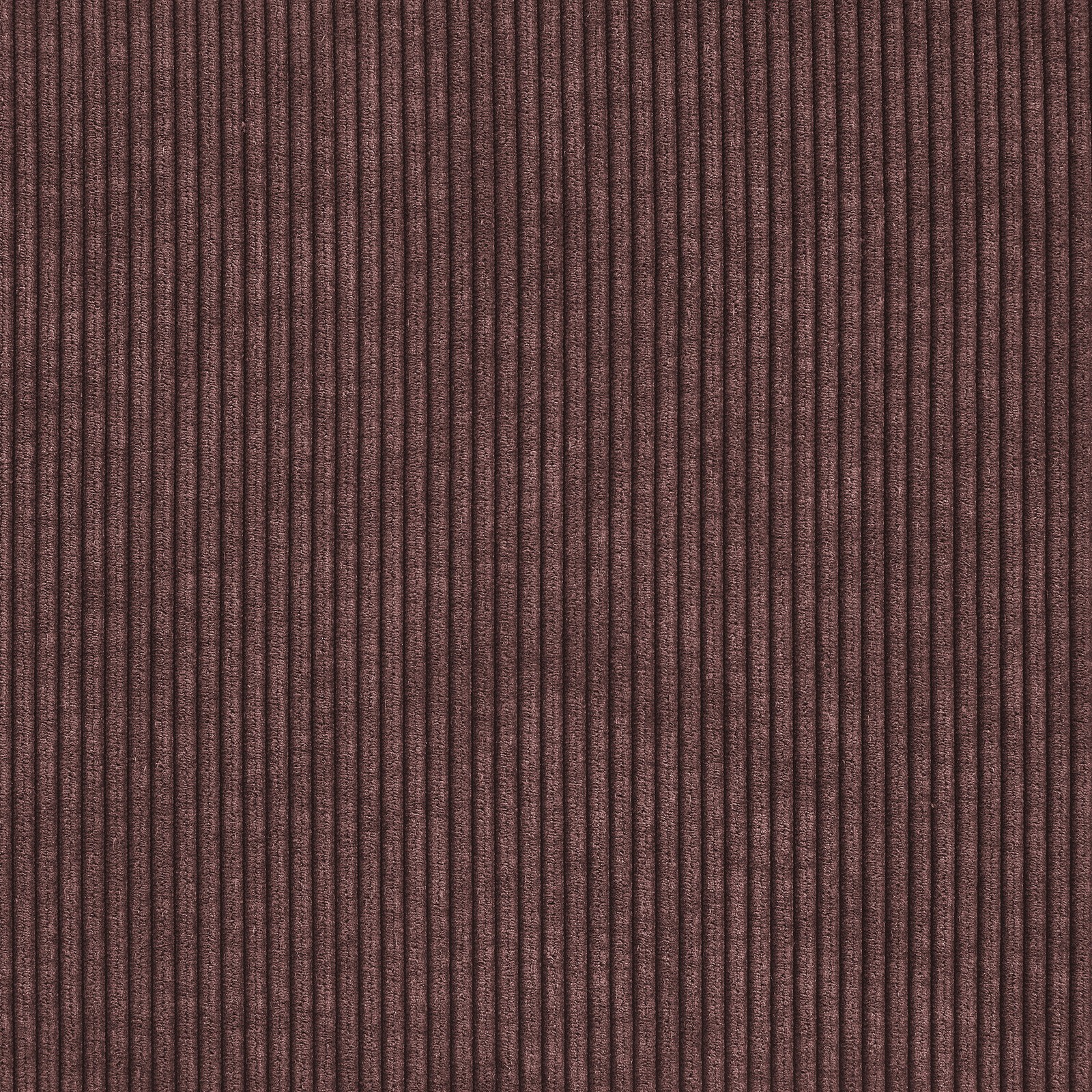 Picture 5 of 6