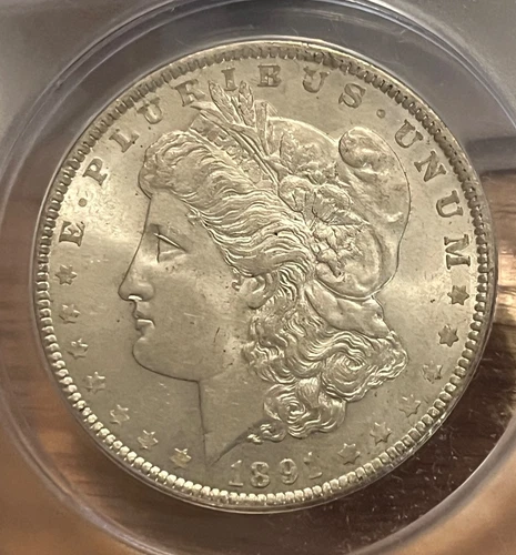 1891 morgan silver dollar  brilliant uncirculated MS – 63, better date & grade