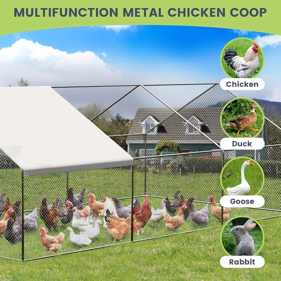 20 x 10 英尺步入式金属鸡笼家禽笼宠物屋带鸡跑盖 — 第 3/4 张图片