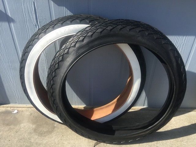 mongoose brutus