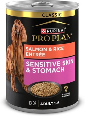 Sensitive Skin & Stomach Dog Food Wet Classic Pate Salmon & Rice Entrée Pack of