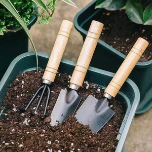 Ensemble d'outils de jardin Mini Kit de jardinage avec truelle et pelle pour Succulent Pla