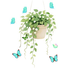 Window Sticker PVC Butterfly Design Static Cling for Reusable Glass Decoration
