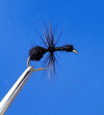 5 Größe 12 gehacktes schwarzes Fell Ameise trocken FLIEGEN. Forelle, Äsche Wild Fliegenfischen #12. 