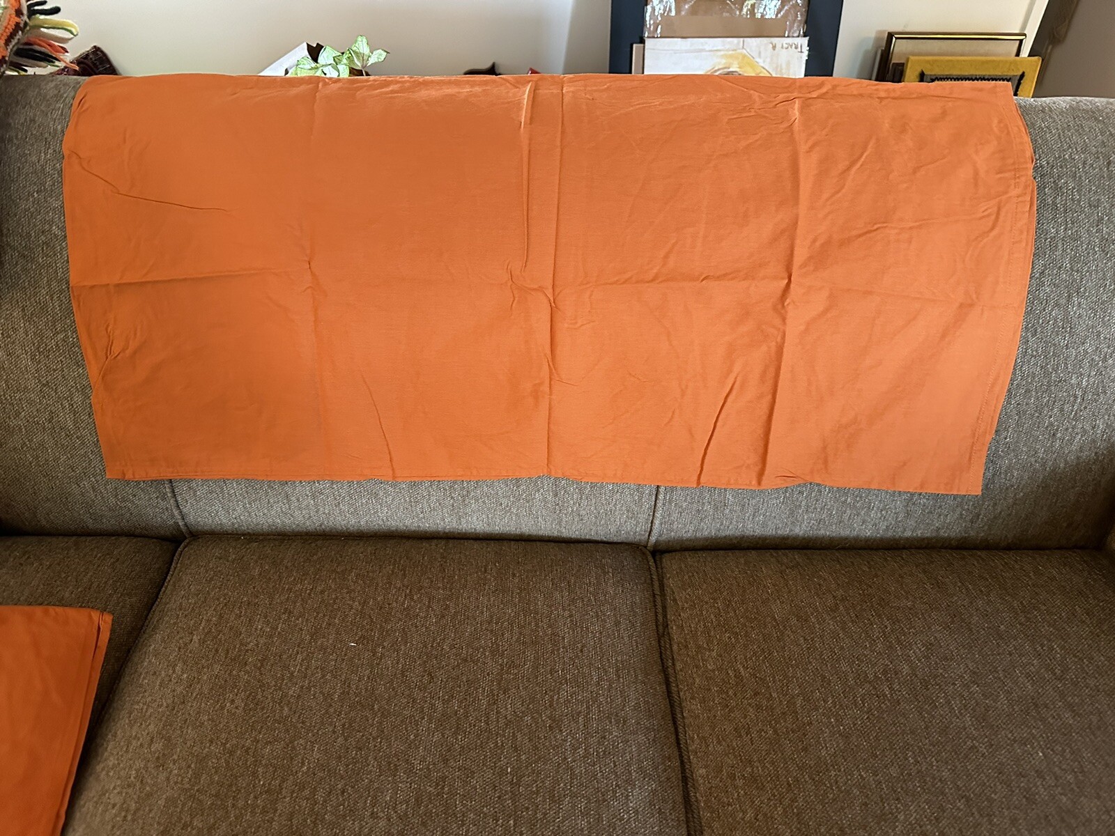 Picture 2 of 4