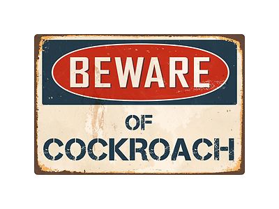 Beware Of Cockroach 8