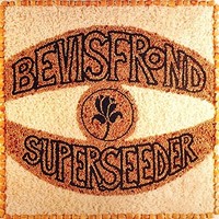 Bevis Frond - Superseeder - Cd - G1398Z