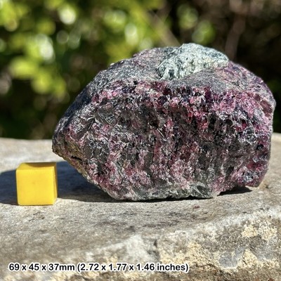 Pyrope Garnet Crystal - Natural Deep Red Mineral from Madagascar w/ COA ...